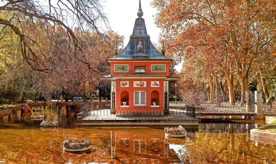 Ideas creativas para disfrutar el retiro