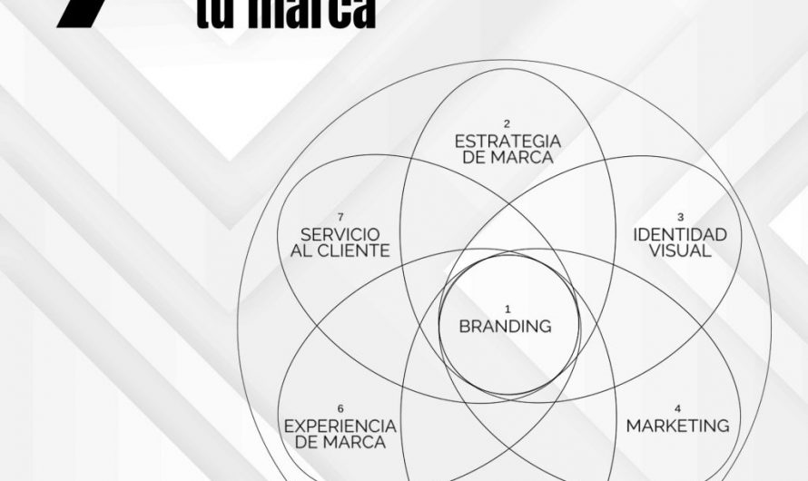 Pasos para construir una marca digital fuerte